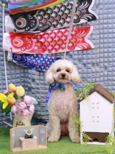 20230509リコちゃん